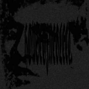 HOUSEOFNEGLECT "FOIL" C15 (Cassette)