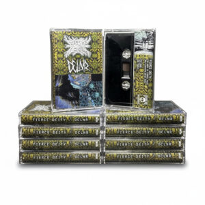 Fierce Deity / DCLNR "Split" CS